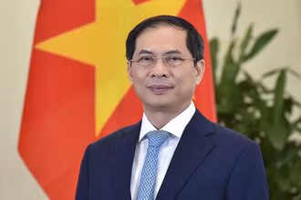 Bộ trưởng Ngoại giao Bùi Thanh Sơn. (Nguồn: TTXVN)