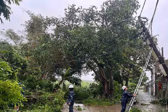 Cán bộ EVNHANOI lập tức đến hiện trường khắc phục hậu quả do thiên tai gây ra.