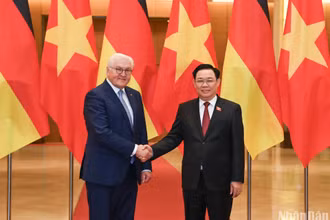 Chủ tịch Quốc hội Vương Đình Huệ và Tổng thống Cộng hòa Liên bang Đức Frank- Walter Steinmeier. (Ảnh: DUY LINH)