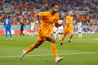 Tiền đạo của đội tuyển Hà Lan - Cody Gakpo. (Ảnh: Footballtransfer)