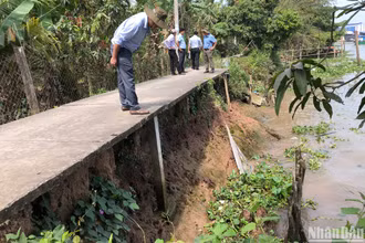 Sạt lở tại tuyến kênh 28 thuộc xã Đông Hòa Hiệp, huyện Cái Bè, tỉnh Tiền Giang.
