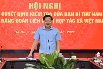 Phó Thủ tướng Chính phủ Lê Minh Khái phát biểu tại hội nghị. 
