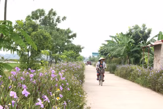 Phát triển đa dạng mô hình kinh tế gắn với xây dựng nông thôn mới