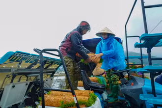 Hợp tác xã nông nghiệp Thống Nhất Xuân Lam (Hà Tĩnh) sử dụng máy cấy sản xuất lúa hữu cơ trên cánh đồng lớn.