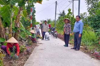 Những cô chú ấp Mỹ Phú tham gia trồng hoa trên tuyến đường giao thông nông thôn ở địa phương. 