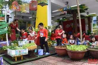 Học sinh trường mần non Bình Minh trong giờ học tìm hiểu về thiên nhiên, cây cỏ. (Ảnh: ANH ĐÀO)