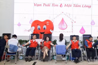 Cán bộ công nhân viên EVN tham gia hiến máu tại sự kiện. 