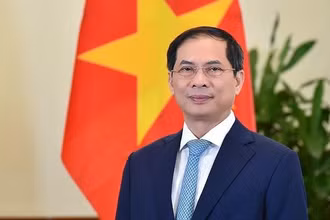 Bộ trưởng Ngoại giao Bùi Thanh Sơn.