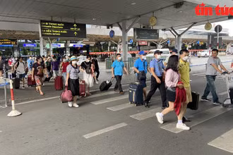Hành khách xuống sân bay rồi đi bộ ra khu vực đón xe công nghệ. 