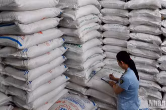 Lực lượng quản lý thị trường kiểm tra các lô đường cát tại hiện trường.
