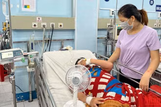 Điều trị sốt xuất huyết tại Bệnh viện Nhi Đồng 1, Thành phố Hồ Chí Minh.
