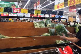 Các mặt hàng rau xanh tiêu thụ mạnh tại siêu thị Big C Thăng Long trong ngày 6/9.