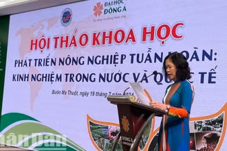 Phó Giáo sư, Tiến sĩ Trần Thị Lan Hương, Viện Hàn lâm khoa học xã hội Việt Nam báo cáo đề dẫn Hội thảo.