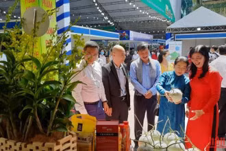 Các đại biểu tham quan hội chợ, triển lãm sản phẩm nông nghiệp tiêu biểu.