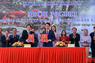 Lãnh đạo tỉnh Lai Châu ký kết hợp tác với đại diện Tập đoàn Đại Nam Sơn. 