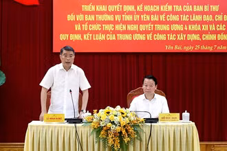 Đồng chí Lê Minh Hưng phát biểu tại cuộc kiểm tra.
