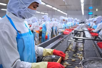 Điểm sáng tình hình kinh tế Việt Nam 8 tháng năm 2022