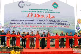 Các đại biểu thực hiện nghi thức khai mạc không gian hoa và triển lãm hoa quốc tế.