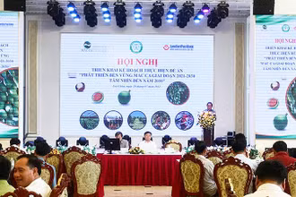 Toàn cảnh hội nghị.