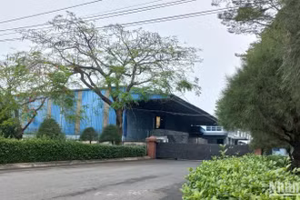 Công ty cổ phần Nguyên Cường tại phường Tân Biên, thành phố Biên Hòa.