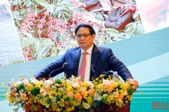 Thủ tướng Phạm Minh Chính phát biểu ý kiến tại hội nghị.