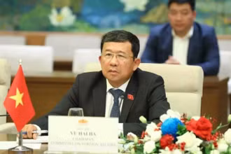 Chủ nhiệm Ủy ban Đối ngoại Quốc hội Vũ Hải Hà. (Ảnh: TTXVN)