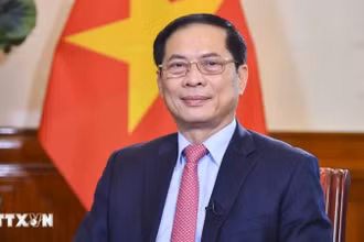 Phó Thủ tướng, Bộ trưởng Ngoại giao Bùi Thanh Sơn. (Ảnh: TTXVN)