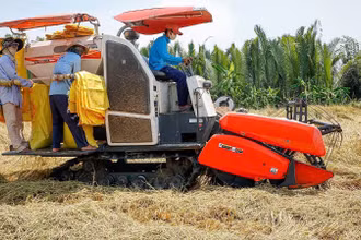 Thu hoạch lúa tại tỉnh Sóc Trăng. (Ảnh: AN ĐỨC)