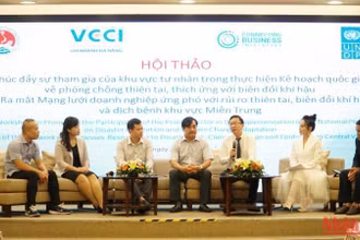 Thảo luận đưa ra các giải pháp thúc đẩy sự tham gia của doanh nghiệp trong các hoạt động ứng phó biến đổi khí hậu.