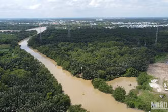 Người thuê đất, thuê mặt nước trên địa bàn Thành phố Hồ Chí Minh bị ảnh hưởng dịch Covid-19 được giảm tiền thuê đất, thuê mặt nước trong năm 2022. (Ảnh: Thế Anh)