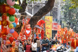 Chợ hoa Hàng Lược 2023. (Ảnh minh họa: THÀNH ĐẠT)