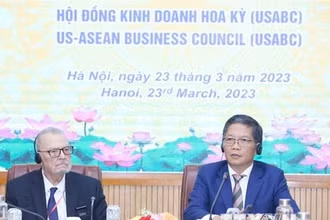 Trưởng Ban Kinh tế Trung ương Trần Tuấn Anh phát biểu tại tọa đàm. (Ảnh: Phương Hoa/TTXVN)