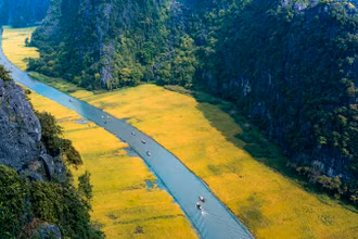 Sắc vàng Tam Cốc. (Ảnh: Sở Du lịch Ninh Bình cung cấp)