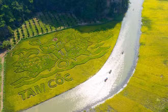 Bức tranh "Lý ngư vọng nguyệt" trên cánh đồng bên dòng sông Ngô Đồng. (Ảnh: Sở Du lịch Ninh Bình)