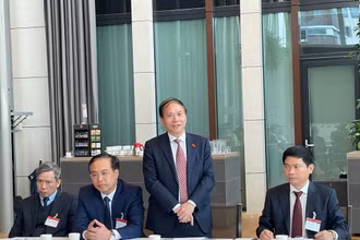 Các đại biểu tham dự hội nghị.