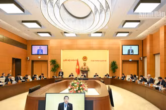 Phiên họp Ủy ban Thường vụ Quốc hội xem xét, thông qua dự thảo Nghị quyết về mức thuế bảo vệ môi trường đối với xăng, dầu, mỡ nhờn để áp dụng trong năm 2023. (Ảnh Duy Linh) 