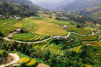 Hình ảnh sắc vàng phủ kín ruộng bậc thang ở vùng cao Hà Giang 