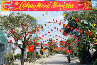 Tuyến đường Lê Trí Viễn (phường Hòa Hương) rực rỡ cờ hoa đón Tết.