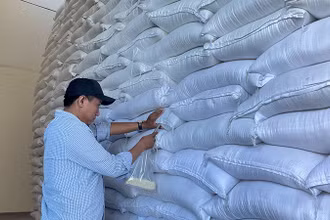 Gạo dự trữ quốc gia. (Ảnh; GDSR)