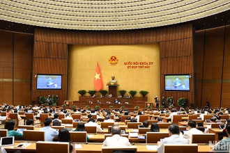 Một phiên thảo luận ở hội trường tại Kỳ họp thứ 6, Quốc hội khóa XV. (Ảnh: DUY LINH)