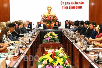 Hình ảnh hội thảo tại đầu cầu Bình Định. (Ảnh: baobinhdinh.vn)