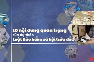 Đồ họa: Phương Nam.