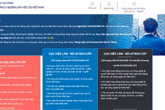 Dịch vụ công quản lý lao động nước ngoài làm việc tại Việt Nam trên Cổng Dịch vụ công của Cục Việc làm (Bộ Lao động-Thương binh và Xã hội).
