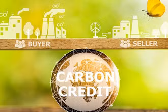 [Video] Vận hành thí điểm sàn giao dịch tín chỉ carbon