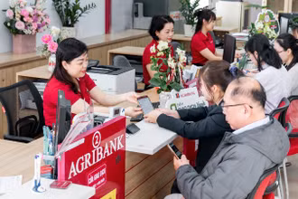 Các ngân hàng linh hoạt giải pháp huy động vốn để bảo đảm đáp ứng nhu cầu vay vốn của người dân, doanh nghiệp. 