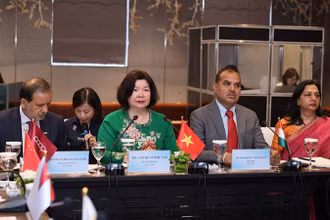Bà Cao Xuân Thu Vân phát biểu tại hội nghị.