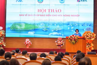 Chủ tịch Liên minh Hợp tác xã Việt Nam Cao Xuân Thu Vân phát biểu tại hội thảo.