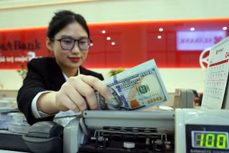 Tỷ giá USD/VND biến động quanh mức 3% hằng năm 