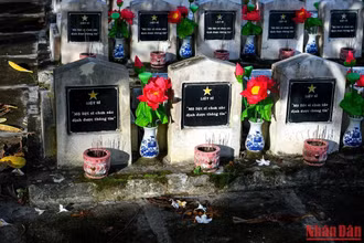 Ảnh minh họa.