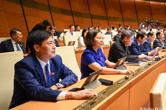 Các đại biểu Quốc hội biểu quyết thông qua Luật. (Ảnh: DUY LINH)